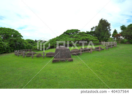 Kume Island five branches of pine Kume Island five branches of pine 40437564