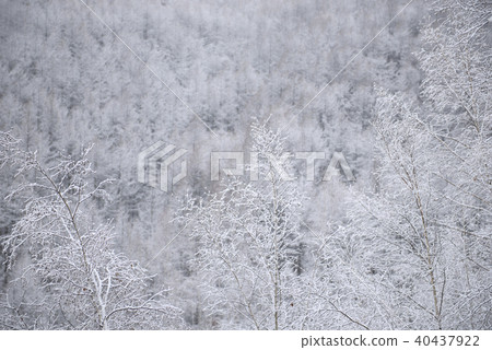 冬山 冬山 40437922