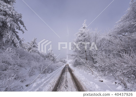 Sogae winter mountain 40437926