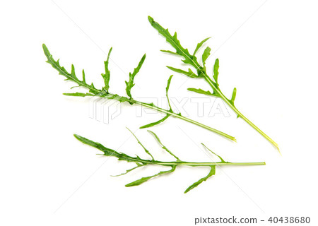 Italian vegetable Selvatico Italian vegetable Selvatico 40438680