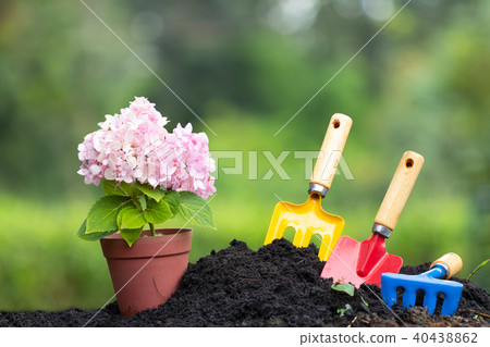 Tools garden soil and hydrangea flower in flower Tools garden soil and hydrangea flower in flower 40438862
