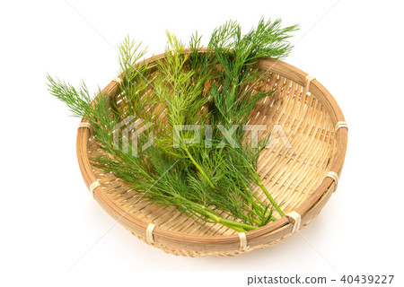 蒔蘿 蒔蘿 40439227