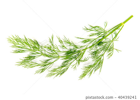 Dill Dill 40439241