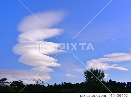 掛雲-11186 40439402