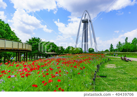 138塔公園 40439706