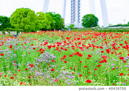 138塔公園 40439708