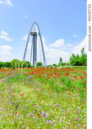 138 Tower park 138 Tower park 40439710