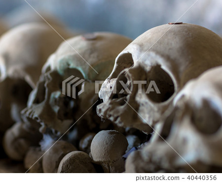 fontanel cemetery,Naples fontanel cemetery,Naples 40440356