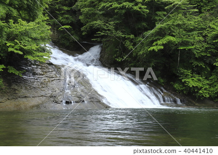 Yoro Gorge "Awamata Falls" with fresh greenery and abundant water Yoro Gorge "Awamata Falls" with fresh greenery and abundant water 40441410