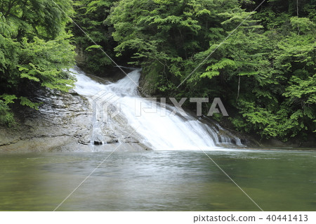 Yoro Gorge "Awamata Falls" with fresh greenery and abundant water Yoro Gorge "Awamata Falls" with fresh greenery and abundant water 40441413