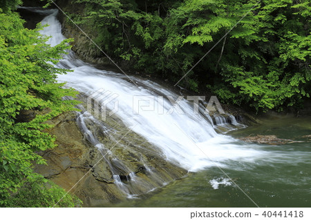 Yoro Gorge“ Awamata Falls”擁有新鮮的綠色植物和豐富的水 Yoro Gorge“ Awamata Falls”擁有新鮮的綠色植物和豐富的水 40441418