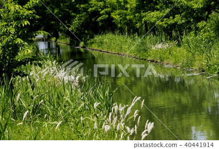 新鮮的綠色景觀 40441914