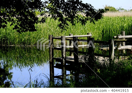 在水邊景觀 在水邊景觀 40441915