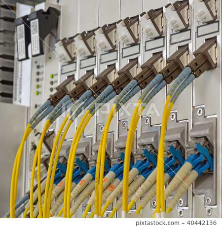 Fiber Optics with SC/LC connectors. 40442136
