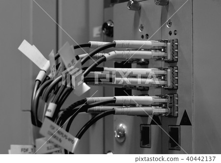 Fiber Optics with SC/LC connectors.  40442137