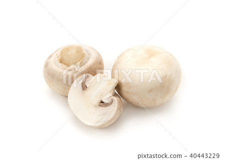 White mushroom White mushroom 40443229