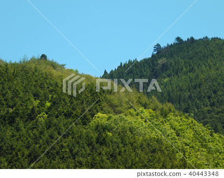 清山 40443348