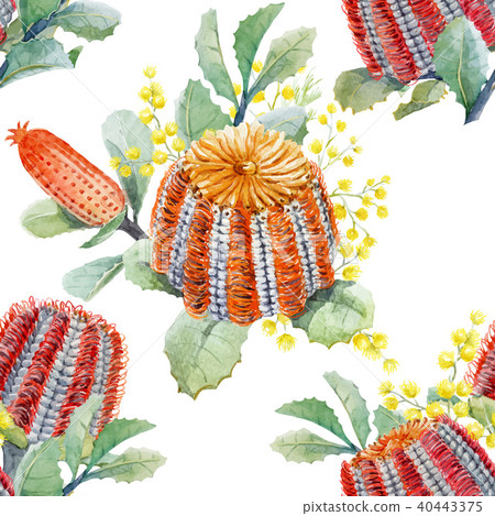 Watercolor australian banksia vector pattern 40443375