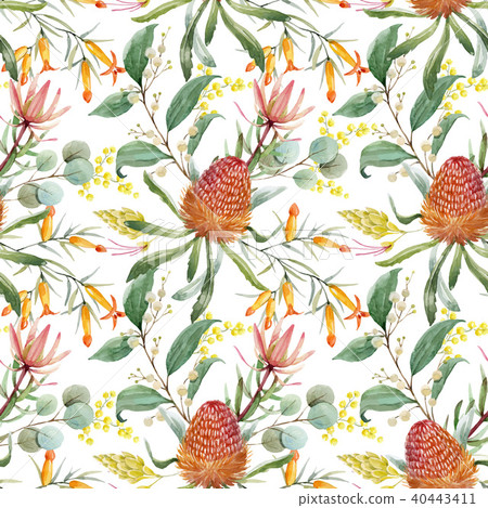 Watercolor australian banksia vector pattern 40443411