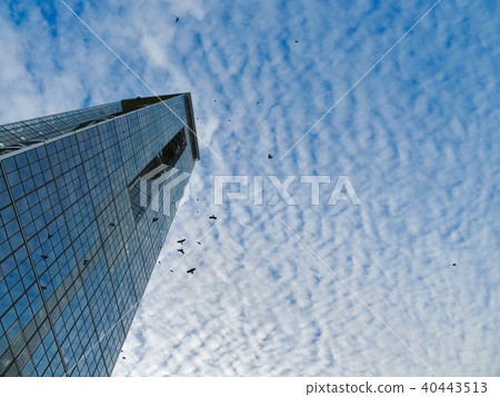 sky, cloud, clouds 40443513