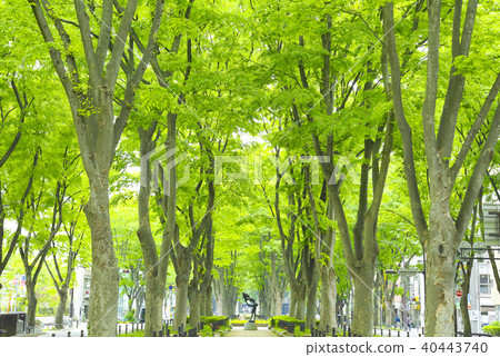 Jojo Temple Street Sendai City Sakai's City 40443740