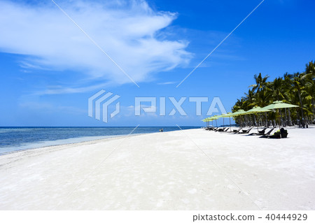 在菲律賓邦勞的海灘 40444929