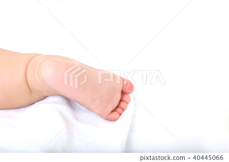 寶寶的腳，身體部位，向上 40445066
