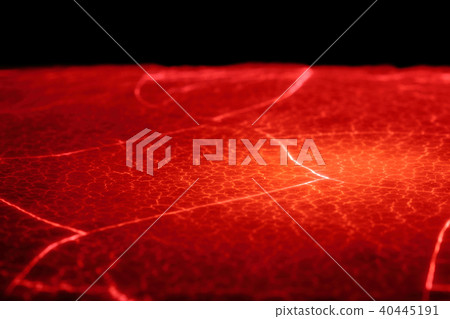 Crack like ground crack 40445191