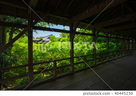 京都東福寺Tsutenbashi Suun Bridge Shinsen 京都東福寺Tsutenbashi Suun Bridge Shinsen 40445230