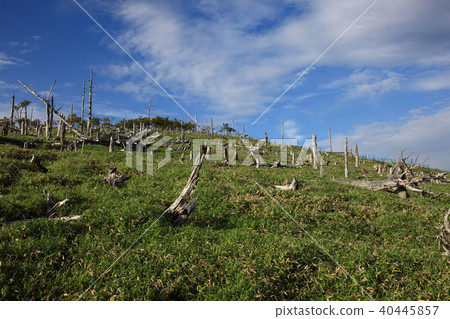 From Odyagahara-yama 40445857