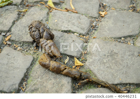 Chubby Chubby 40446231