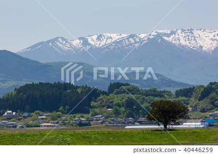 Zao and paddy fields of the remaining snow Zao and paddy fields of the remaining snow 40446259