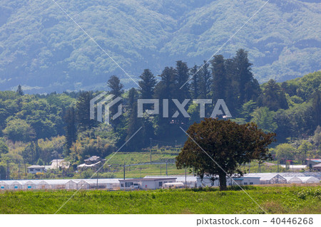 Ippongi and Mt. Ippongi and Mt. 40446268