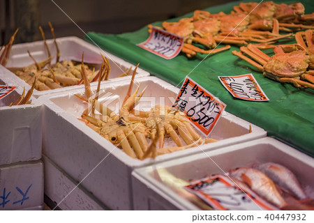 [近江市場蟹] 40447932