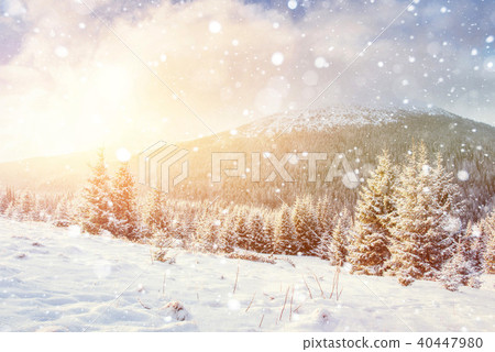 magical winter landscape, background with some soft highlights a 40447980