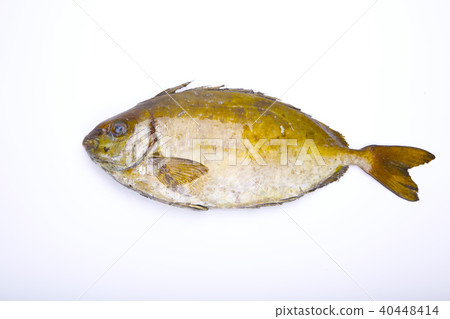 Aigo ingredients 40448414