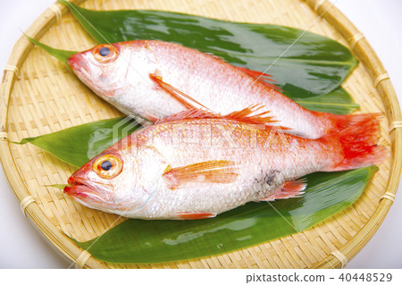 Nodoguro ingredients 40448529