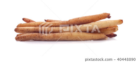 finger root on white background finger root on white background 40448890