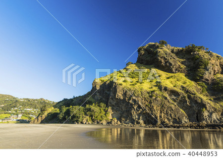 Lion Rock In New Zealand Piha Beach Stock Photo 40448953 Pixta