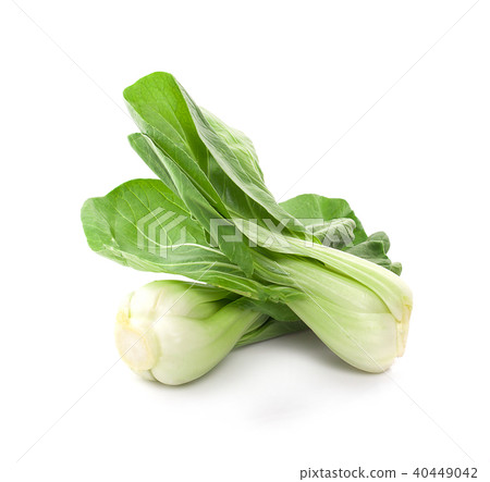 Bok choy vegetable isolated on the white Bok choy vegetable isolated on the white 40449042
