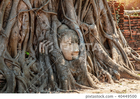 Head of sandstone Buddha statue. Head of sandstone Buddha statue. 40449500