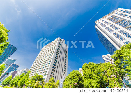 Fresh green and buildings in Tokyo 40450254