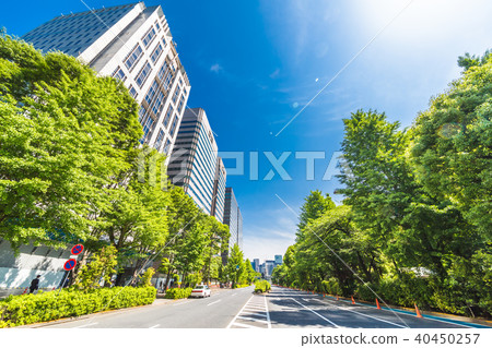 Fresh green and buildings in Tokyo 40450257