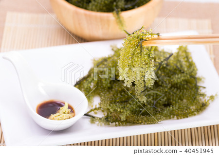 Fresh Sea Grapes (Caulerpa Lentillifera) , Fresh Sea Grapes (Caulerpa Lentillifera) , 40451945