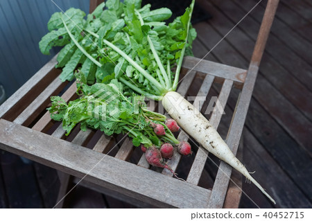 Agriculture, country image 40452715