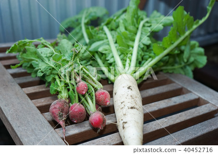 Agriculture, country image Agriculture, country image 40452716