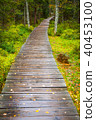 path in woods - Rejviz, Czech Republic 40453100
