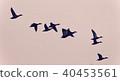 Background with a swarm of ducks flying in the sky 40453561