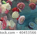 Postcard with a beautiful corals in a sea 40453566