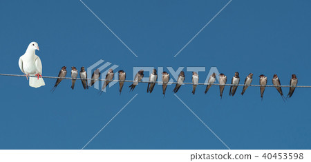 Individuality and difference or leadership concept 40453598